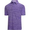 SAMERM Golf Shirts for Men Dry Fit Short Sleeve Mens Golf Shirt Performance Moisture Wicking Polo Shirts for Men(Purple Solid Polo Shirt)