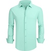 B12-light Green